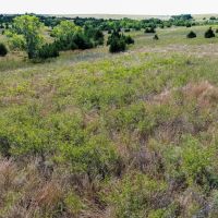 Custer County 80 images 2