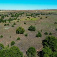 Custer County 80 images 3