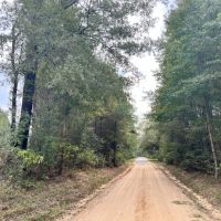 157 Acres in Wayne and Perry County MS images 4