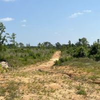 LA - Caldwell 79 acres - images 4