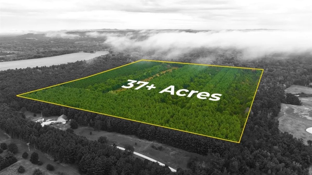 40 Acres in Ridgway Colorado NO HOA featured image