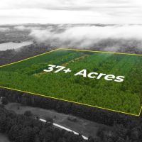 40 Acres in Ridgway Colorado NO HOA