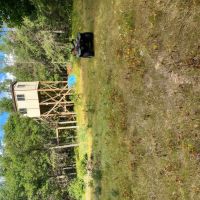40 Acres in Ridgway Colorado NO HOA images 3