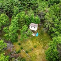 40 Acres in Ridgway Colorado NO HOA images 4