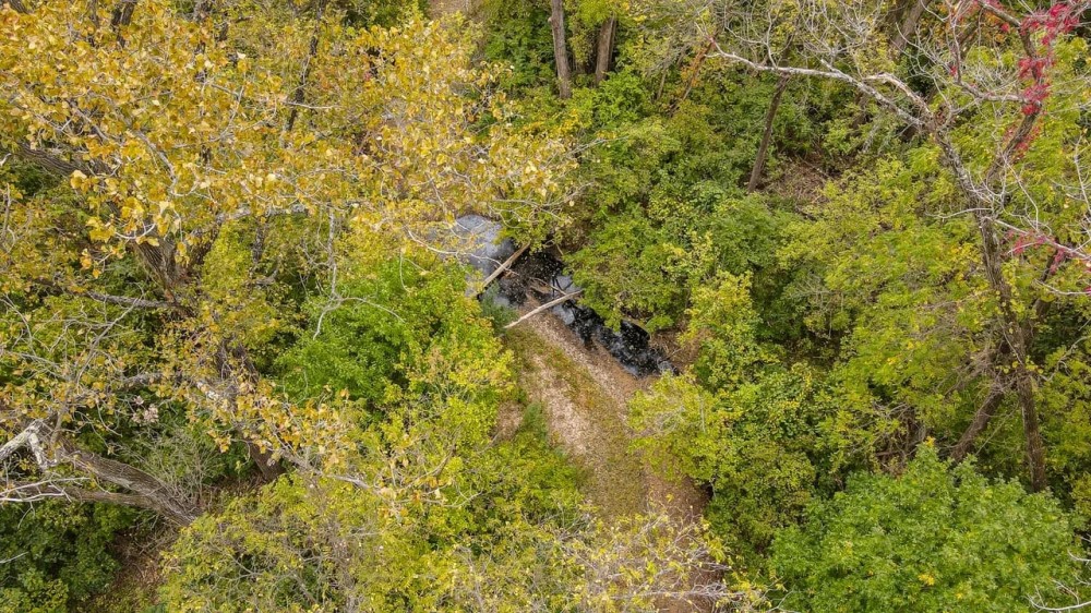 20 - Buffalo Mountain Woods featured image