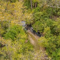 20 - Buffalo Mountain Woods