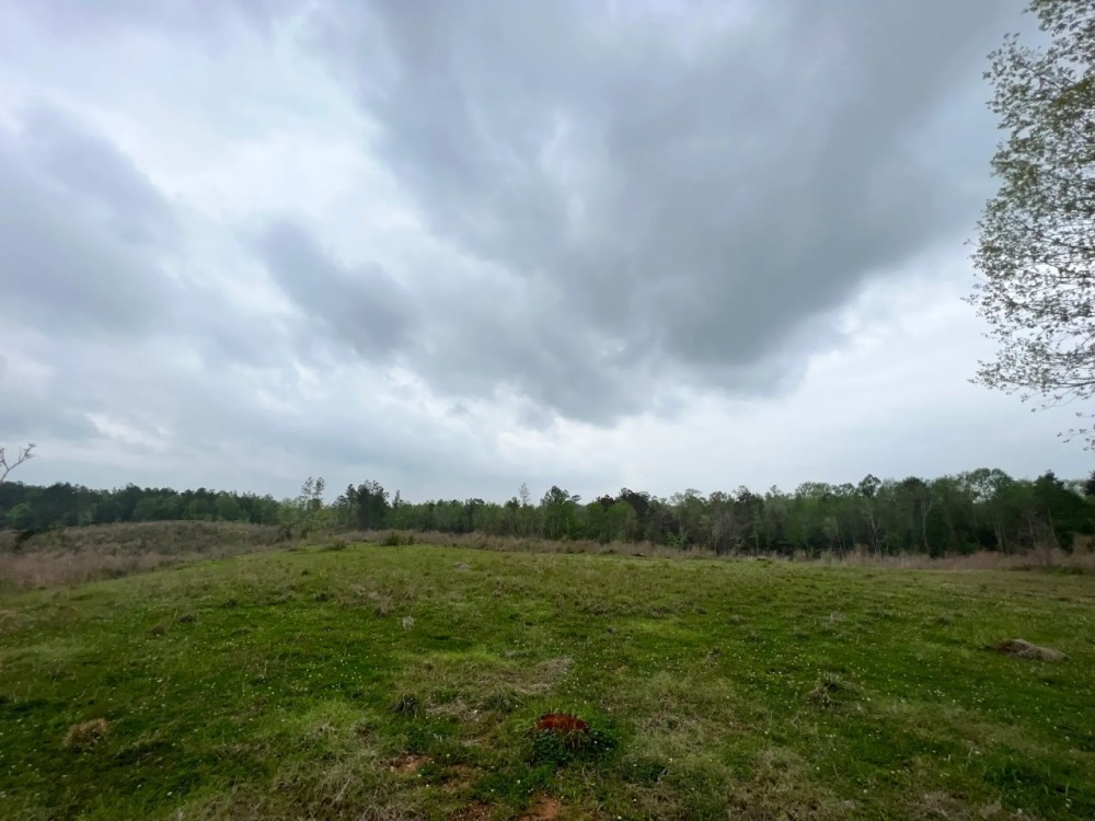 55 Acres in Walthall County MS featured image