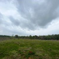 55 Acres in Walthall County MS
