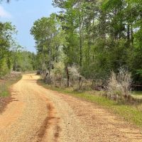55 Acres in Walthall County MS images 2