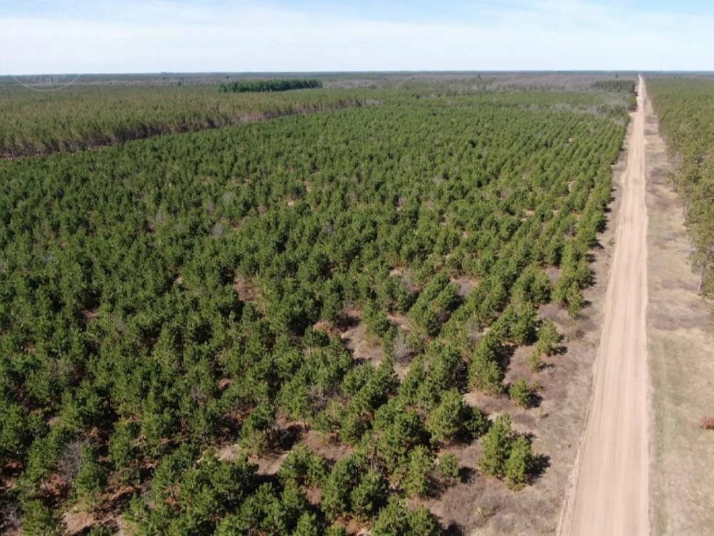 New Listing 59 - Ac TBD Private Rd 4145 Cross Plains featured image