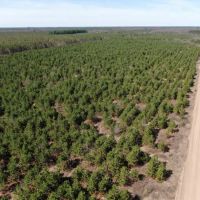 New Listing 59 - Ac TBD Private Rd 4145 Cross Plains