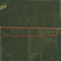 New Listing 59 - Ac TBD Private Rd 4145 Cross Plains images 3