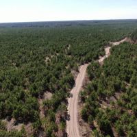 New Listing 59 - Ac TBD Private Rd 4145 Cross Plains images 4