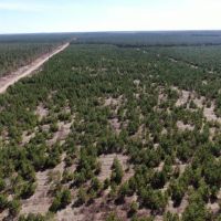 New Listing 59 - Ac TBD Private Rd 4145 Cross Plains images 5