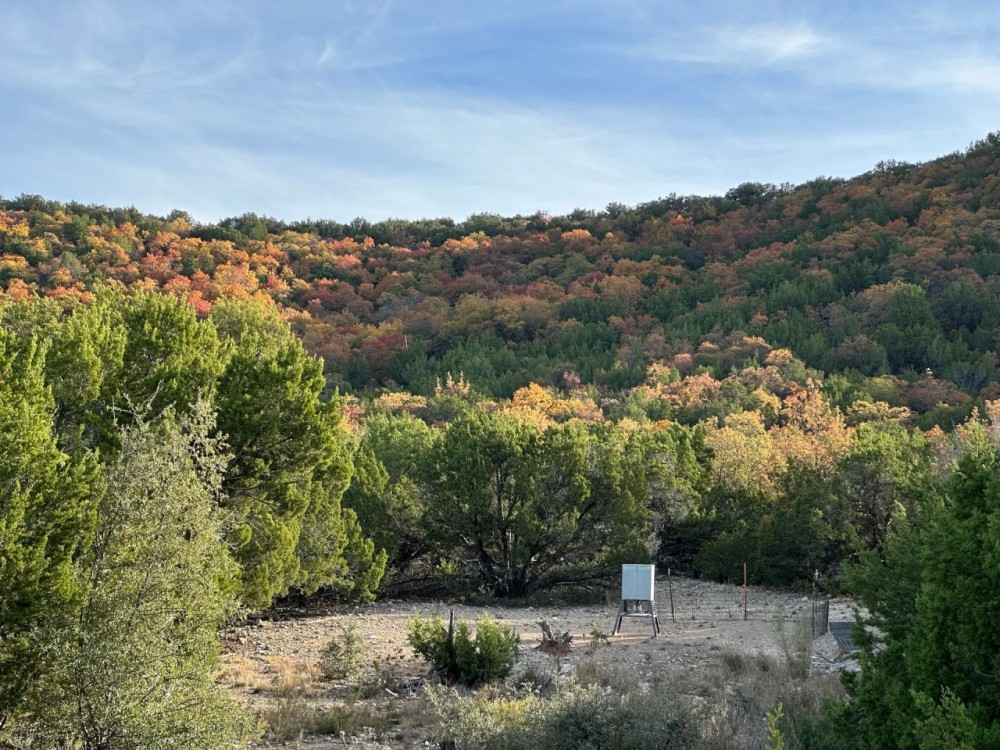 New Listing 50 - Ac CR 461 Baird featured image