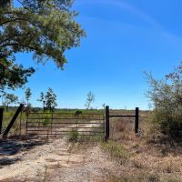 BACK ON MARKET 7.5 - Ac South CR 356 Jones images 3