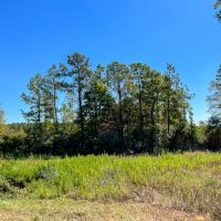 BACK ON MARKET 7.5 - Ac South CR 356 Jones images 4
