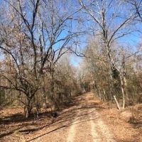Perfect recreational or development property images 4