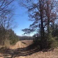 Perfect recreational or development property images 5