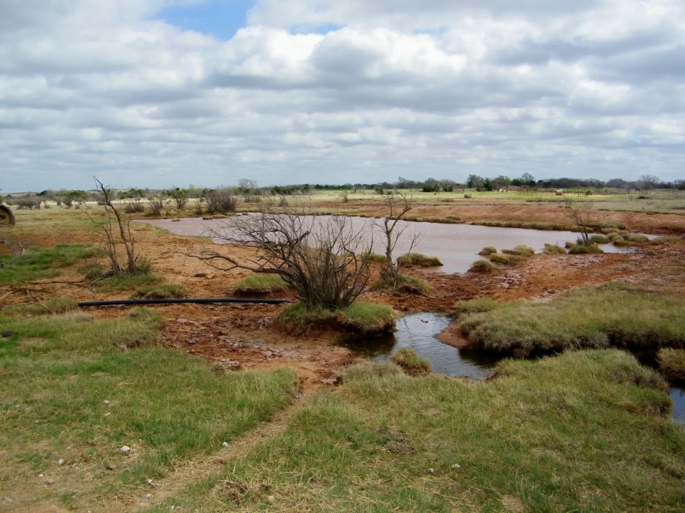 490 Acre Continious Ranchland along Salt Creek in Blaine County OK featured image
