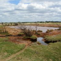 490 Acre Continious Ranchland along Salt Creek in Blaine County OK