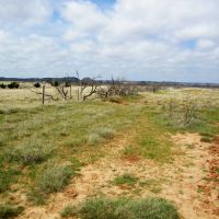490 Acre Continious Ranchland along Salt Creek in Blaine County OK images 3