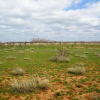 490 Acre Continious Ranchland along Salt Creek in Blaine County OK images 5