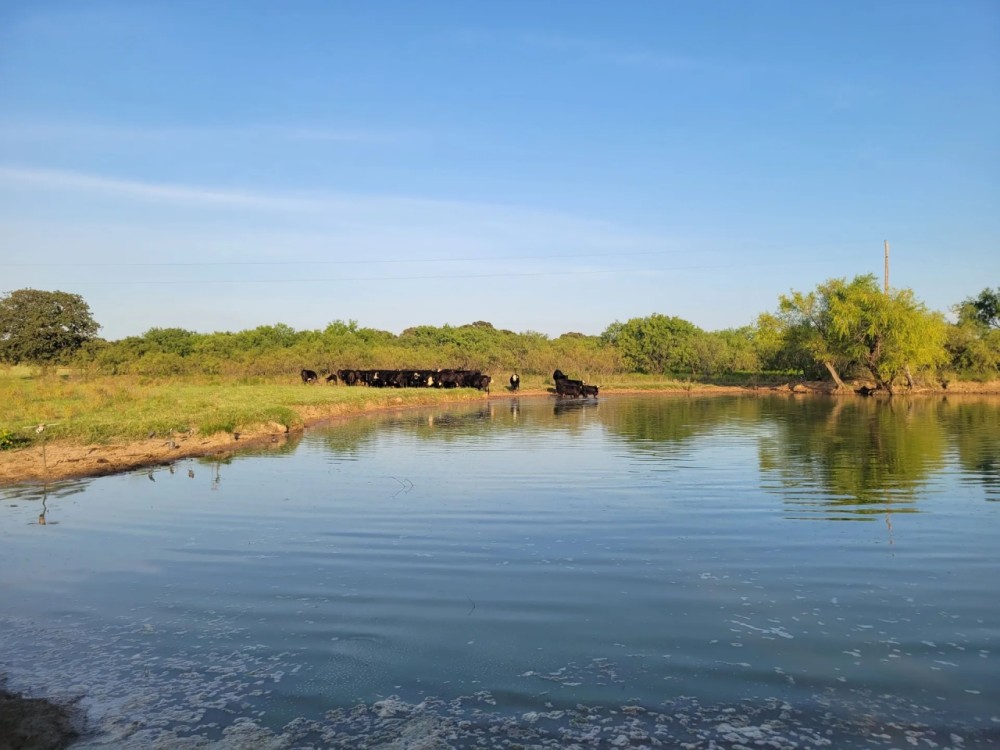 Price Improvement 125.69 - Acres Comanche County featured image