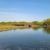 Price Improvement 125.69 - Acres Comanche County