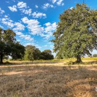 Price Improvement 125.69 - Acres Comanche County images 3