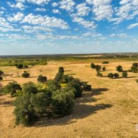 Price Improvement 125.69 - Acres Comanche County images 4