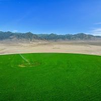Cross L Ranch With BLM Grazing Allotments Central Nevada