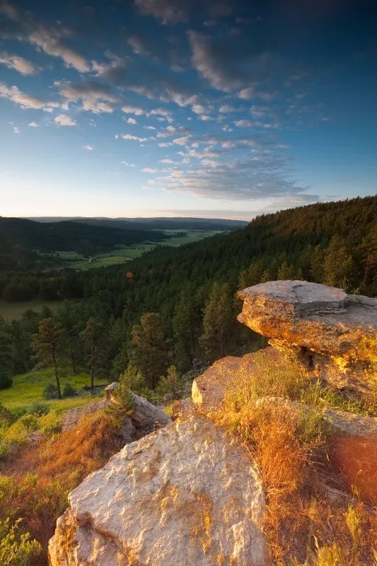 Wyoming Black Hills Living featured image