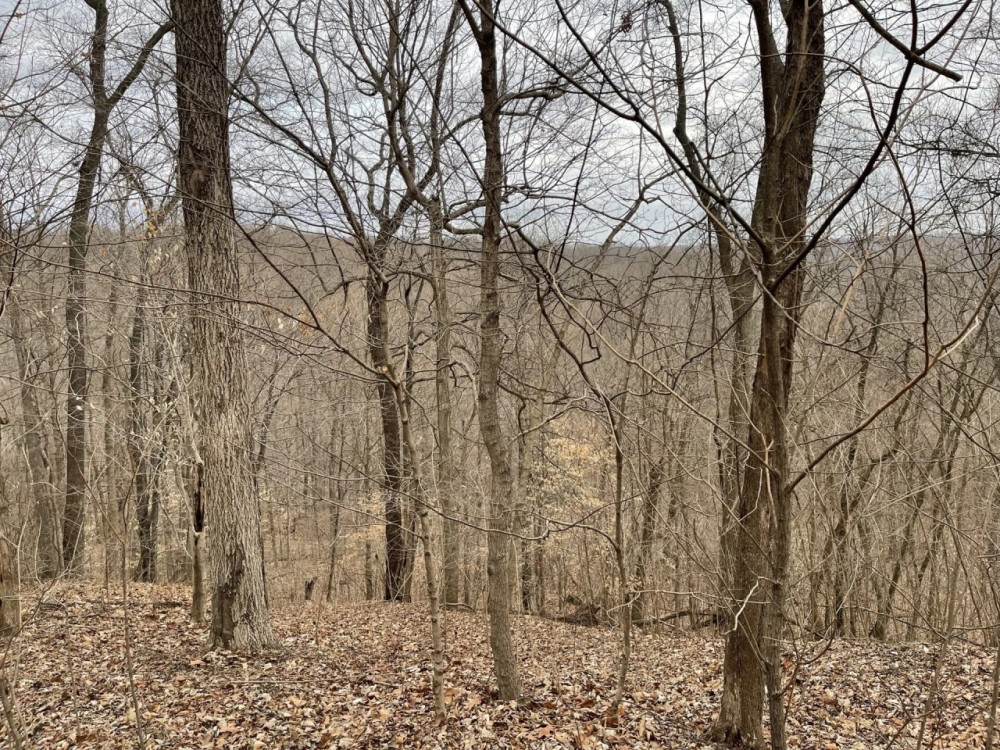 New Listing 12.504 Ac Anderson Rd Wingate Tract 14 featured image