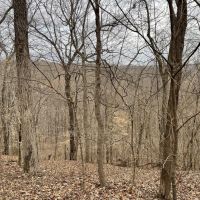 New Listing 12.504 Ac Anderson Rd Wingate Tract 14