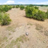 300 Acre Development Opportunity Atoka OK images 4