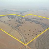 163 Acre Year Round Recreational Property with Income Lincoln County