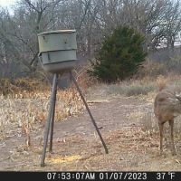163 Acre Year Round Recreational Property with Income Lincoln County images 2