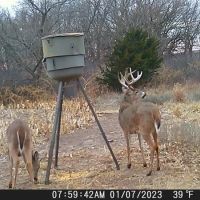 163 Acre Year Round Recreational Property with Income Lincoln County images 4