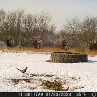 163 Acre Year Round Recreational Property with Income Lincoln County images 5