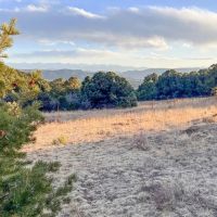 Wild Turkey Trail