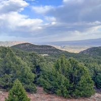 Wild Turkey Trail images 3