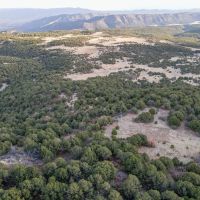 Wild Turkey Trail images 5