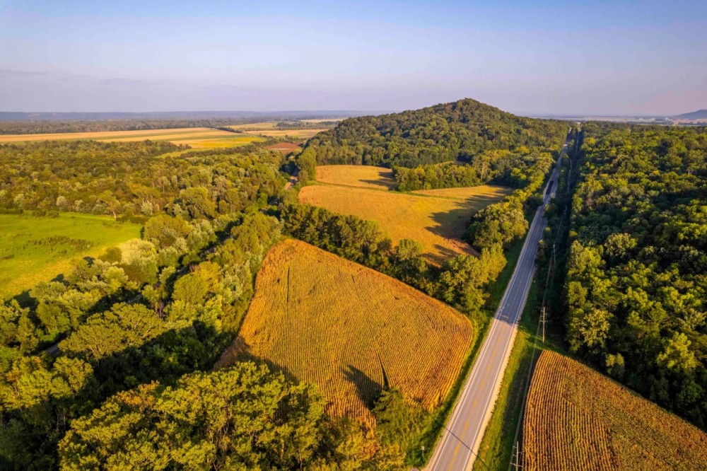 332 Acre Prestigious Hunting Property for Sale - Pike County featured image