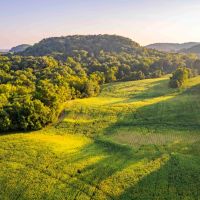 332 Acre Prestigious Hunting Property for Sale - Pike County images 2