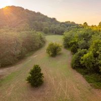 332 Acre Prestigious Hunting Property for Sale - Pike County images 3
