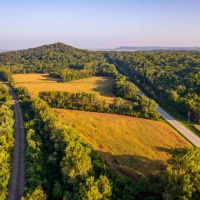 332 Acre Prestigious Hunting Property for Sale - Pike County images 4