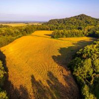 332 Acre Prestigious Hunting Property for Sale - Pike County images 5