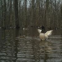 Premier Private Hunting Retreat For Sale In Southern Missouri