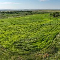 Spurs Furs Ranch images 4